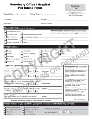 Carbonless Forms - Template 17 Veterinary Pet Intake